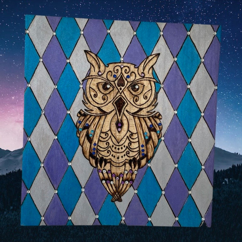 Owl with Rhinestone Wood Burned and Painted by Hand Wild Birds Artwork