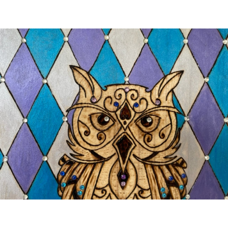 Owl with Rhinestone Wood Burned and Painted by Hand Wild Birds Artwork