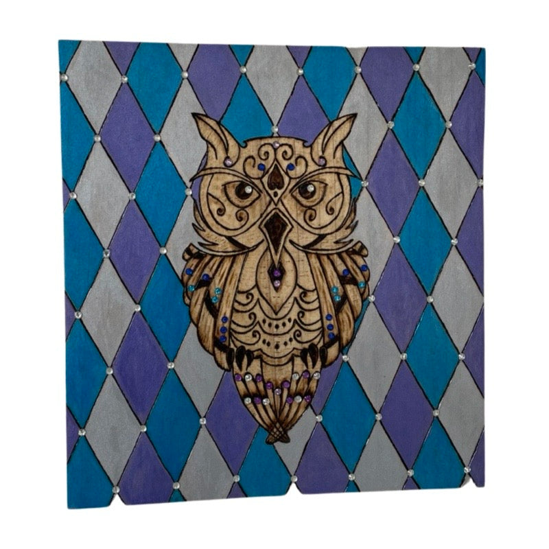 Owl with Rhinestone Wood Burned and Painted by Hand Wild Birds Artwork