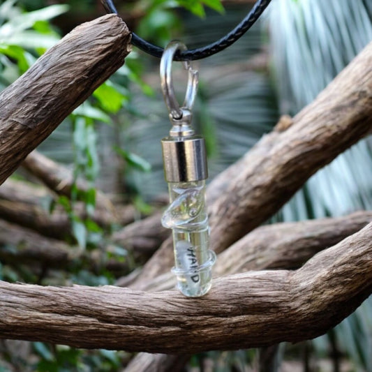Collar de serpiente transparente o llavero escrito en joyas hechas a mano de arroz
